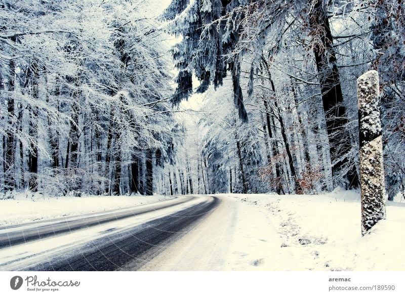 Winterreifen-Teststrecke Natur Landschaft Pflanze Wetter schlechtes Wetter Eis Frost Schnee Baum Wald Verkehrswege Straßenverkehr Autofahren kalt blau weiß