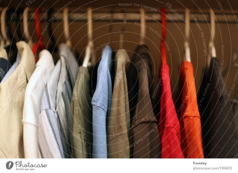 ::: Du dünnes Hemd! ::: Kleiderschrank Schrank Bekleidung Aufgängen aufräumen Ordnung Kleiderbügel anziehen Design Einzelhandel Farbig Out T-Shirt Kombination