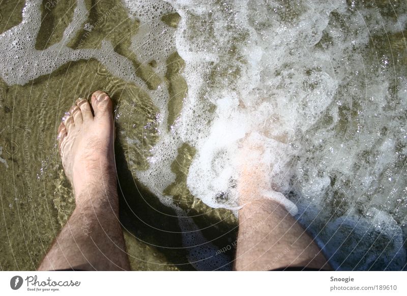 Endlich Urlaub Freude Ferien & Urlaub & Reisen Sommer Sommerurlaub Strand Meer maskulin Beine Fuß 1 Mensch Wasser Nordsee gehen genießen weich braun Stimmung
