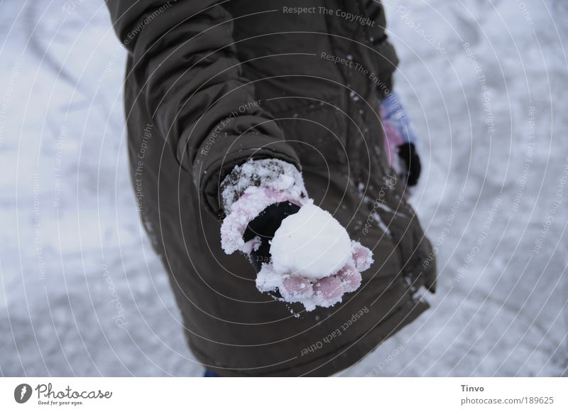 Auf dem Schneeballschlachtfeld 1 Mensch Umwelt Urelemente Winter Klima Wetter Eis Frost Jacke Mantel kalt Freude Handschuhe festhalten zeigen Kugel Spielen