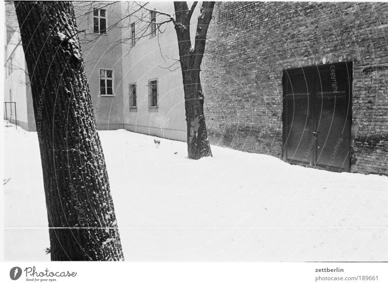 Ost-Venedig, 1988 Schnee Schneefall Winter Hof Haus Baum Mauer Baumstamm
