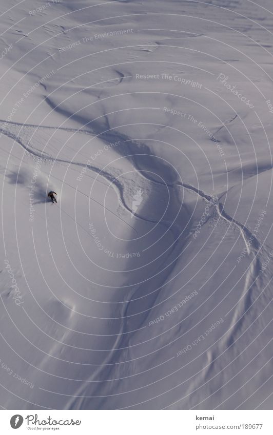 Die dritte Spur Skifahren Winter Schnee Winterurlaub Berge u. Gebirge Wintersport Skier Skipiste Mensch maskulin 1 Landschaft Schönes Wetter Alpen