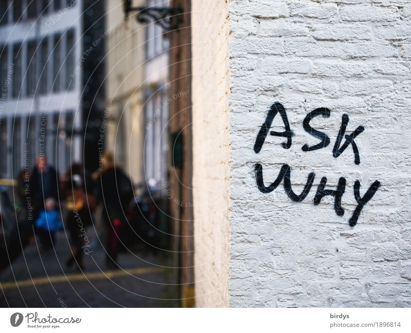 dranbleiben Mensch Kind Familie & Verwandtschaft 5 Menschengruppe Stadt Haus Mauer Wand Schriftzeichen Graffiti gehen einzigartig klug Mut Verantwortung