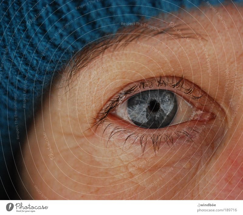 Winterblick Frau Erwachsene Leben Haut Kopf Gesicht Auge Wimpern 45-60 Jahre alt beobachten Erholung Blick Glück kalt feminin blau schwarz Lebensfreude