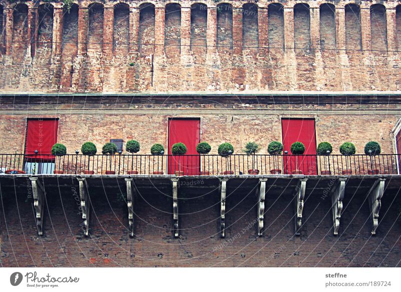 Mädchen-Ferrari Ferrara Italien Stadt Altstadt Traumhaus Burg oder Schloss Mauer Wand schön niedlich elegant herrschaftlich Baum Farbfoto Außenaufnahme