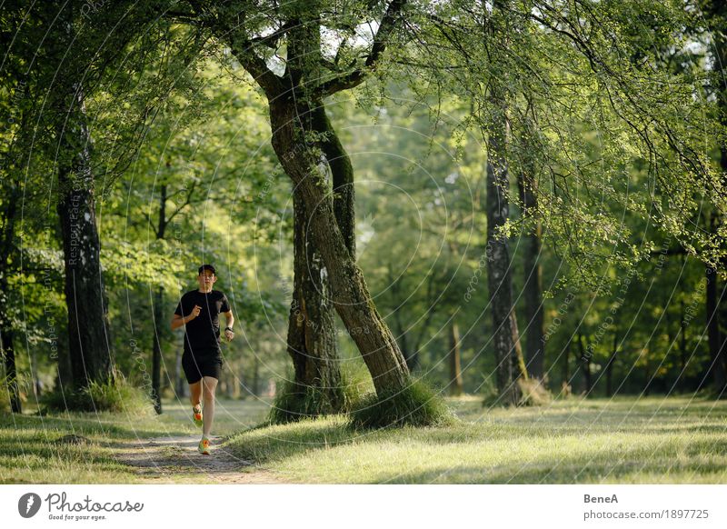 Running in the park Sommer Joggen Natur Park Fitness springen Aktion Athlet Sportler Läufer laufen Laufsport Gras grün Gesundheit Landschaft Baum Wald