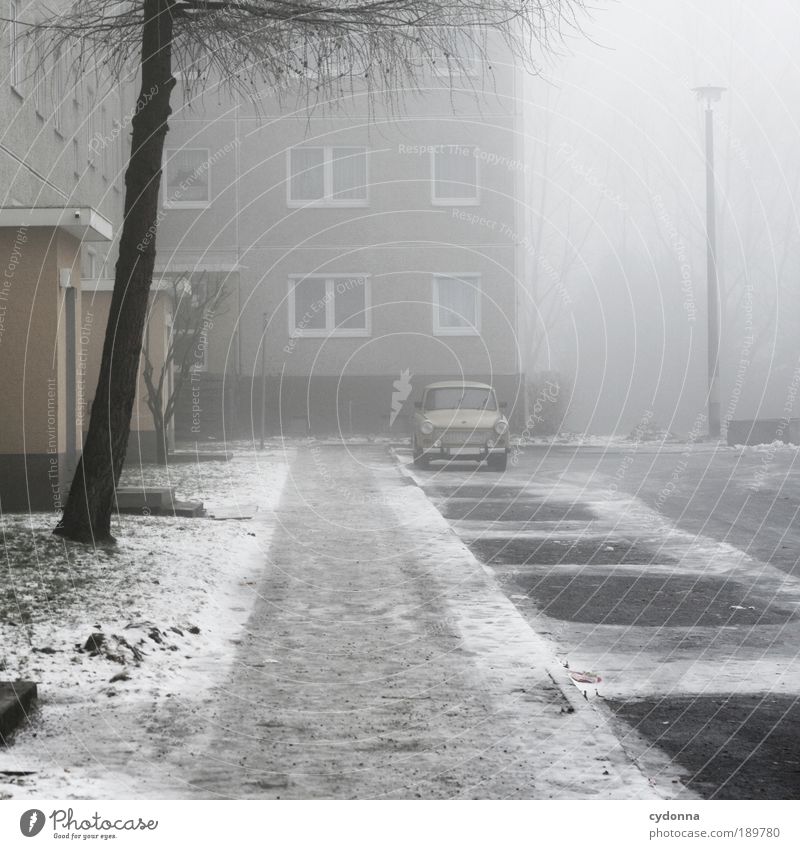 Der Letzte macht das Licht aus Häusliches Leben Umwelt Winter Wetter Nebel Eis Frost Schnee Baum Architektur Fassade Einsamkeit Endzeitstimmung Freiheit