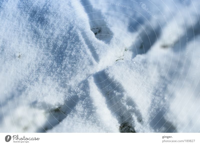 X-Trails Umwelt Natur Winter Eis Frost Schnee frieren kalt weiß grau-blau Spuren Wege & Pfade gekreuzt Kreuz hinterlassen geheimnisvoll kühl draußen schleifen