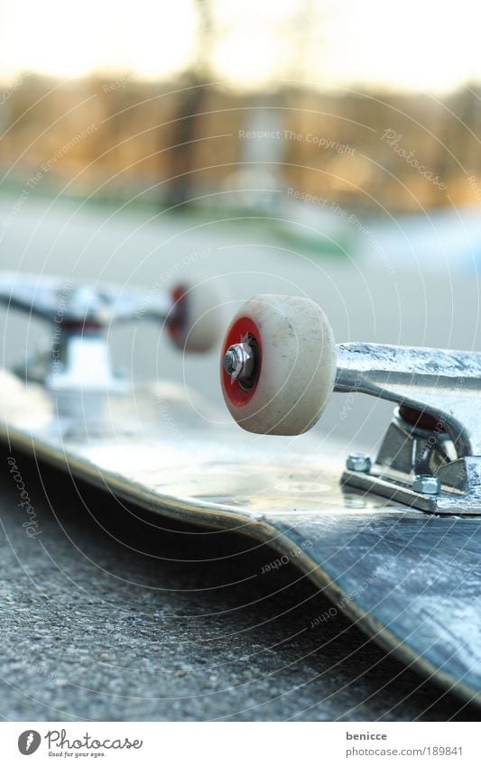 Skate Skateboarding Straße Freizeit & Hobby Unfall Coolness Rad Asphalt Menschenleer Dinge Sport liegen