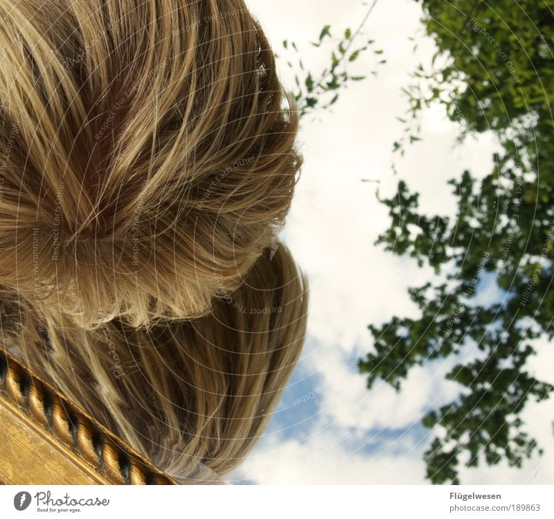 Das doppelte Lottchen Lifestyle Freizeit & Hobby Zeitmaschine Kopf Kunst Blick Einsamkeit Horizont Spiegel Spiegelbild Rahmen Haare & Frisuren blond Baum Himmel