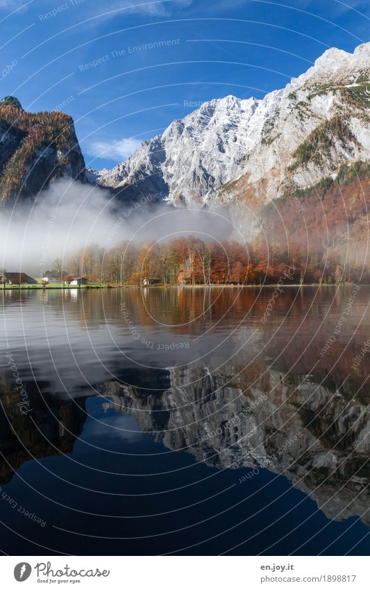 Symmetrie Ferien & Urlaub & Reisen Tourismus Ausflug Berge u. Gebirge Natur Landschaft Wolkenloser Himmel Herbst Nebel Wald Felsen Alpen Watzmann