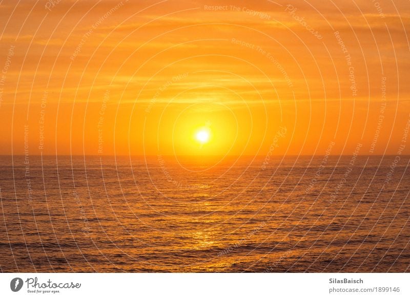 Sonnenaufgang Wellness Leben harmonisch Wohlgefühl Sinnesorgane Erholung Umwelt Natur Landschaft Sonnenfinsternis Sonnenuntergang Sonnenlicht Sommer