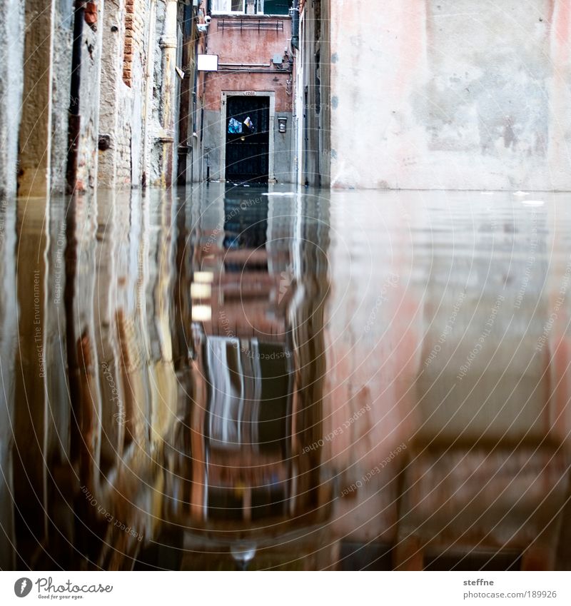 acqua alta Wasser Venedig Italien Mauer Wand Tür außergewöhnlich Hochwasser Überschwemmung Flut Textfreiraum rechts oben Farbfoto Außenaufnahme