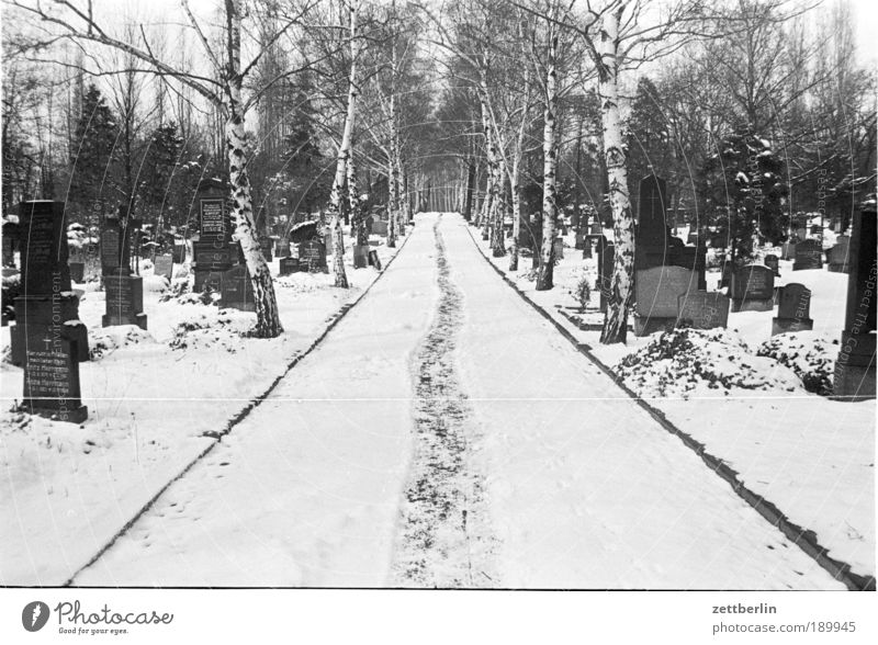 Friedhof Wege & Pfade Schnee Schneefall Winter Grab Grabmal Linie gerade geradeaus Fußweg staunen wandern fantastisch Wandertag laufen Spaziergang Grabsteine