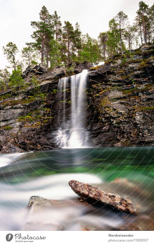 Lebensquell Ausflug Natur Landschaft Urelemente Wasser Schönes Wetter Baum Wald Felsen Berge u. Gebirge Fluss Wasserfall Flüssigkeit Abenteuer Einsamkeit