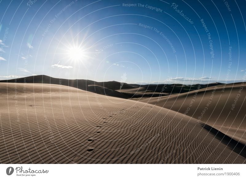 Great Sand Dunes National Park, Colorad Zufriedenheit Erholung ruhig Meditation Ferien & Urlaub & Reisen Abenteuer Freiheit Sommer Umwelt Natur Landschaft