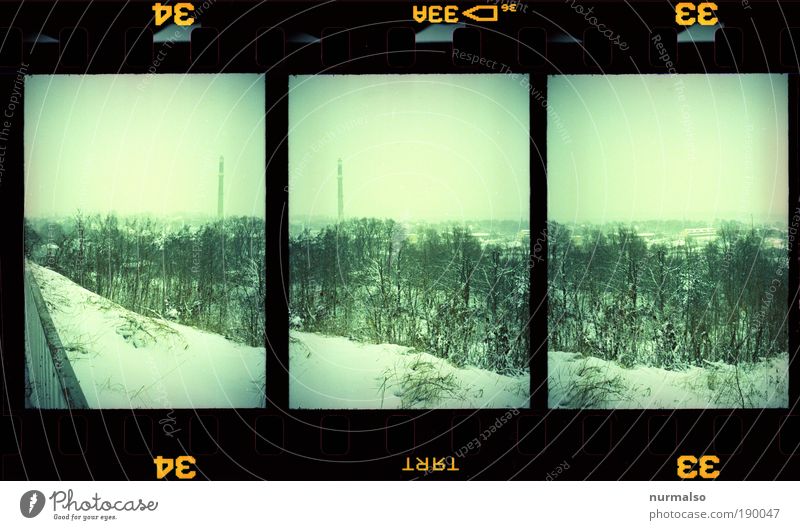 Winteraussicht Natur Landschaft Klima Wetter Park Wald Schornstein kalt trist Symmetrie Experiment Lomografie Dämmerung Monochrom Dia analog Wiederholung