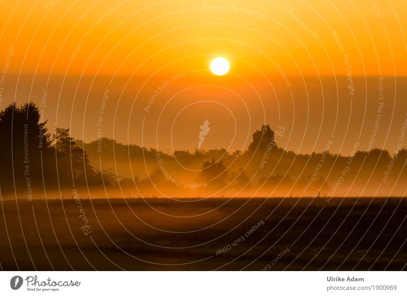 September Nebel Stil Design einrichten Innenarchitektur Dekoration & Verzierung Tapete Bild Postkarte Poster Natur Landschaft Himmel Sonne Sonnenaufgang