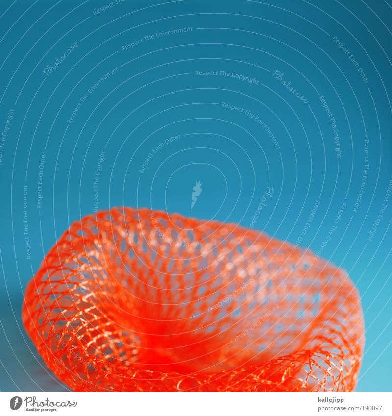 raumkrümmung Stoff Netz Kommunizieren komplex Gitter Netzwerk Kontakt Trichter Physik einstein relativitätstheorie Orange Kontrast türkis Wasser Fischernetz