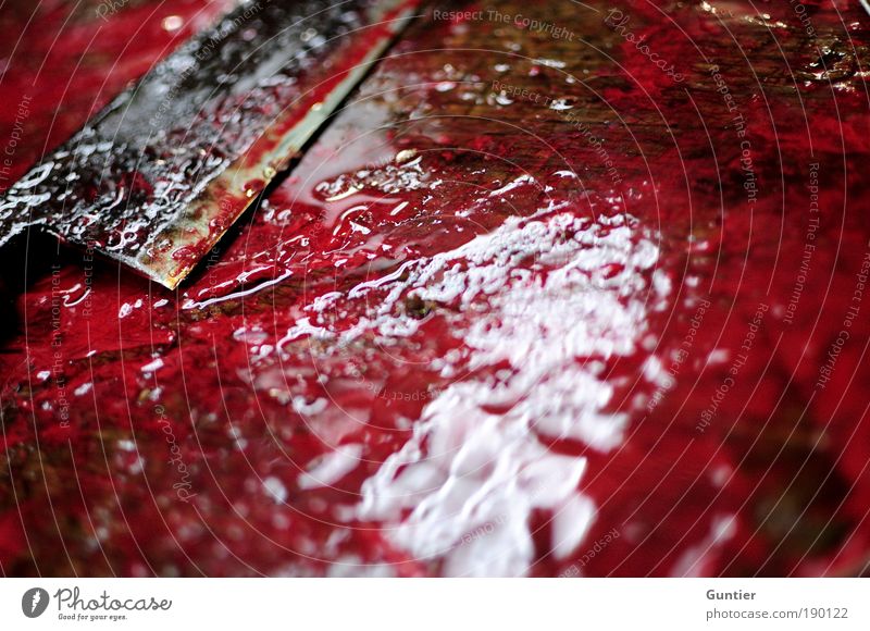 Saft! Fisch braun rot schwarz weiß Fischmarkt Japan Blut Tod Mord Gewalt Gewalttat Messer Blutbad blutrünstig Metzger Metzgerei Kriminalität Tsukiji-Fischmarkt