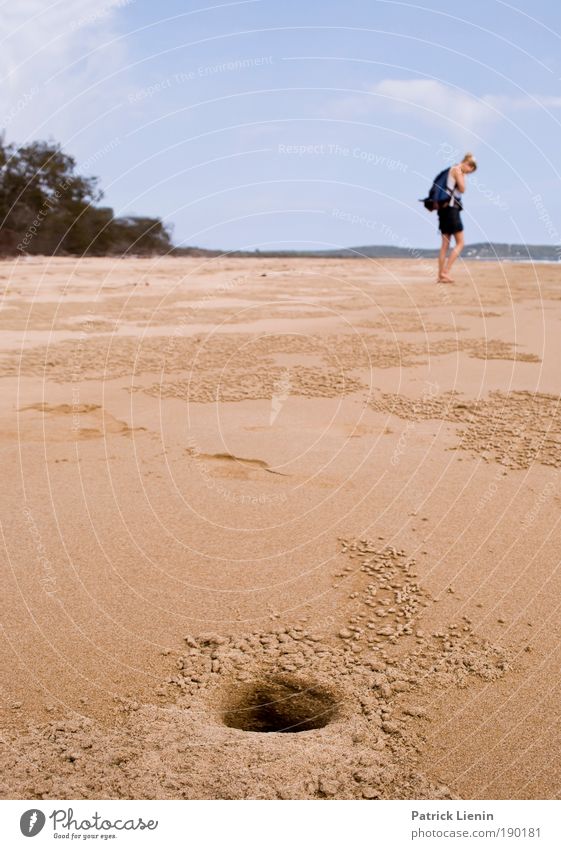 Was suchst Du? Frau Erwachsene 1 Mensch Umwelt Natur Sand Himmel Sommer Meer Blick Strand Australien Suche blau Loch strandkrebs Ferien & Urlaub & Reisen schön