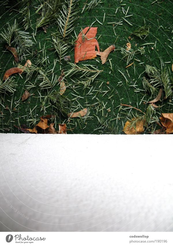 überreste von weihnachten mit textfreiraum unten Winter Balkon trist grün weiß Kiefernnadeln Kunstrasen Knut Januar Farbfoto Außenaufnahme Textfreiraum unten