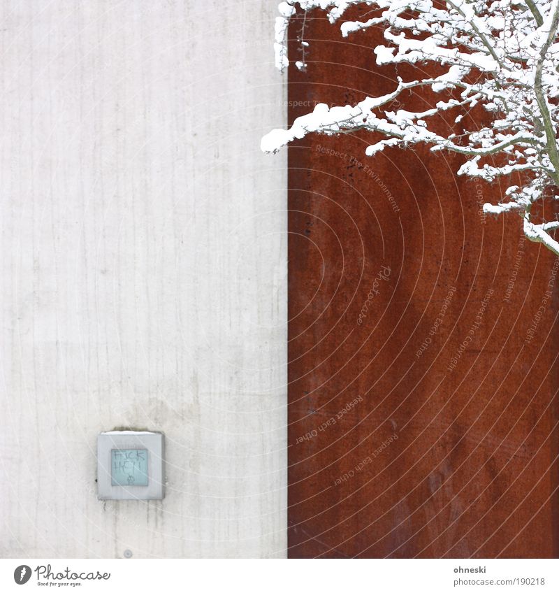 Kontraste Umwelt Natur Pflanze Winter Schnee Baum Ast Mauer Wand kalt Rost Farbfoto Außenaufnahme Muster Strukturen & Formen Menschenleer Textfreiraum links
