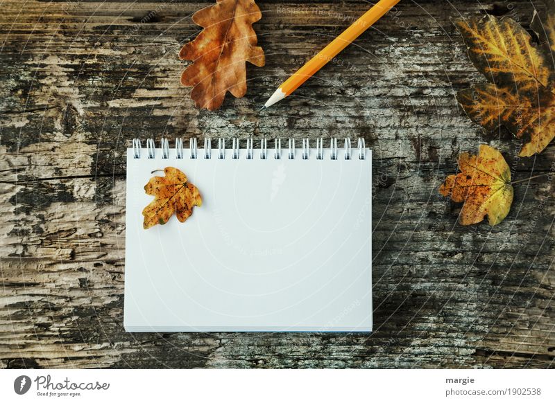 Herbstblätter und Bleistift auf alten Holz mit Spiral - Schreibblock lernen Beruf Büroarbeit Werbebranche Business sprechen schreiben gelb weiß Schreibstift