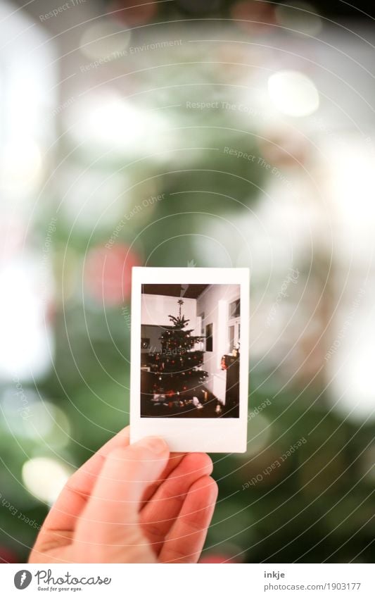 Weihnachtsbaum Weihnachten & Advent Hand Fotografie Polaroid Bild-im-Bild festhalten Gefühle Stimmung Vorfreude Nostalgie Erinnerung Weihnachtsstimmung Farbfoto