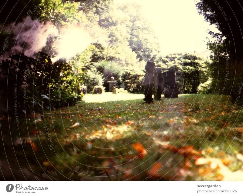 der körper ist der ausdruck der seele. Trauerfeier Beerdigung Ruhestand Natur Himmel Herbst Schönes Wetter Baum Gras Sträucher Garten Park alt verblüht dunkel