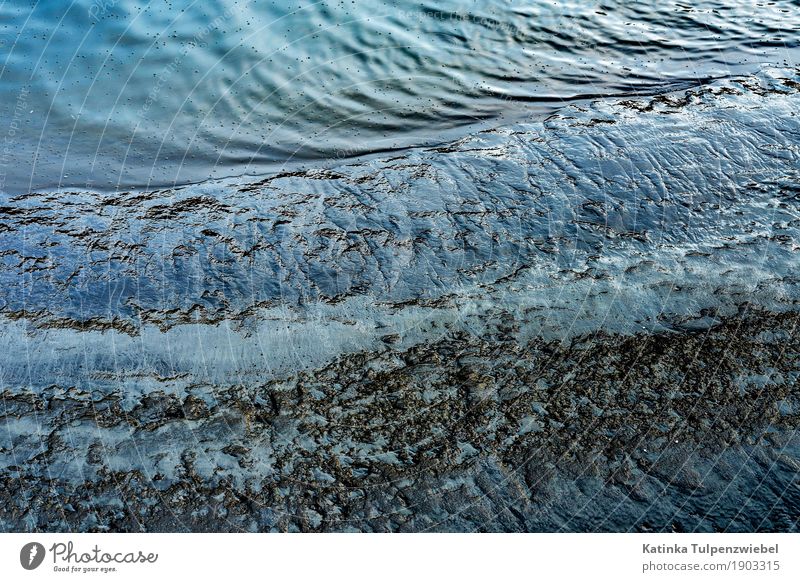 Wasser, Fluss und Schlick Umwelt Natur Landschaft Urelemente Sand Sonnenlicht Schönes Wetter Nordlicht Wellen authentisch elegant schön blau Freude