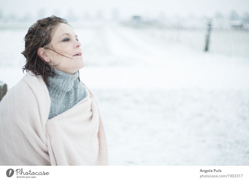 rosé winter II Mensch feminin Frau Erwachsene 1 30-45 Jahre Natur Winter Wind Schnee Schal Pullover frieren genießen kalt kuschlig grau rosa weiß Gefühle