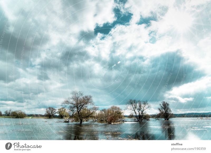 Überschwemmung Landschaft Wolken Sonnenlicht Herbst Winter Schönes Wetter Baum See Fluss Oder Polder beobachten träumen Hochwasser Schwedt Farbfoto