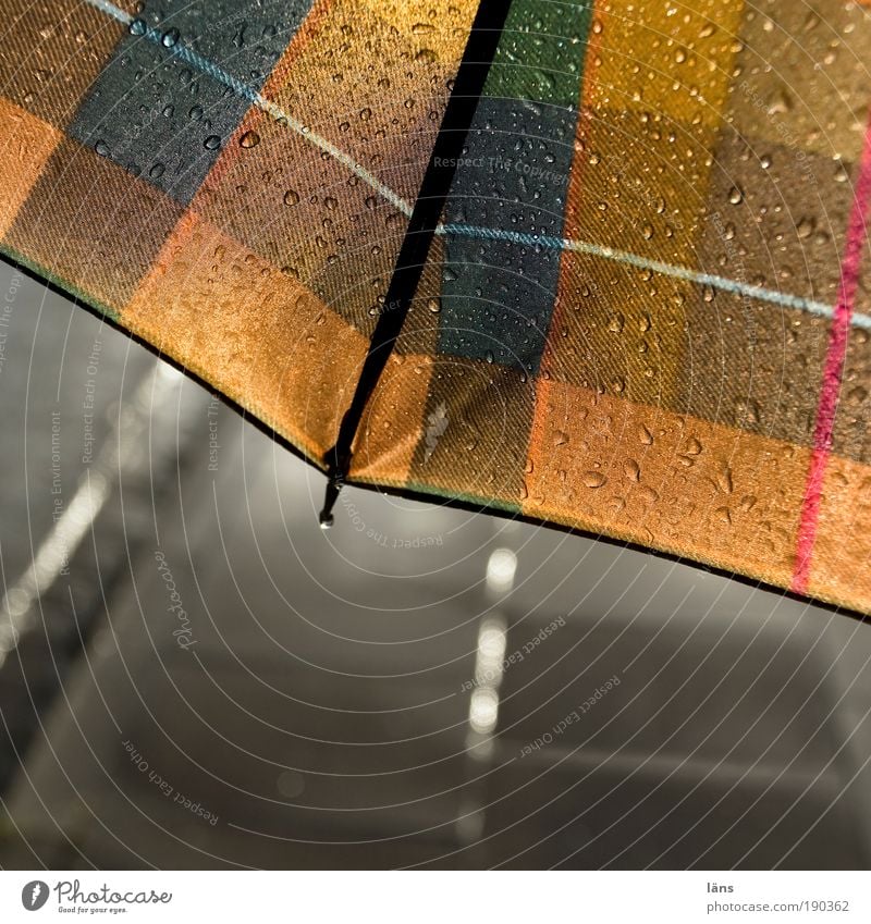 wetterverhältnis Wassertropfen schlechtes Wetter Regen Verkehrswege Straße Wege & Pfade gehen stehen Schutz Regenschirm nass feucht Wetterschutz Fußweg