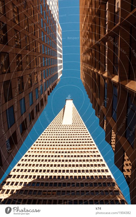 San Francisco Days | Financial District Himmel Wolkenloser Himmel Stadt Stadtzentrum Hochhaus Bankgebäude Architektur Fenster Beton Glas groß hoch blau gold eng