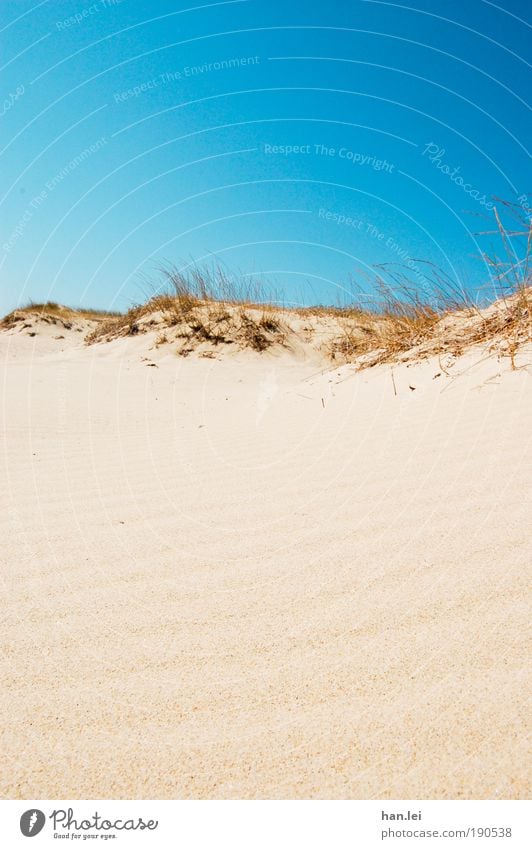 simple beach Textfreiraum unten Textfreiraum oben Farbfoto Sonnenlicht Sommer Strand Wüste Blauer Himmel Wolkenloser Himmel Sommerurlaub