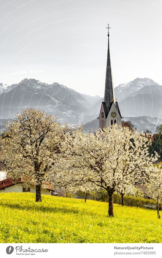church in fraxern Ferien & Urlaub & Reisen Sommer Natur Landschaft Frühling Hügel Alpen Berge u. Gebirge Tower (Luftfahrt) Bundesland Vorarlberg Österreich
