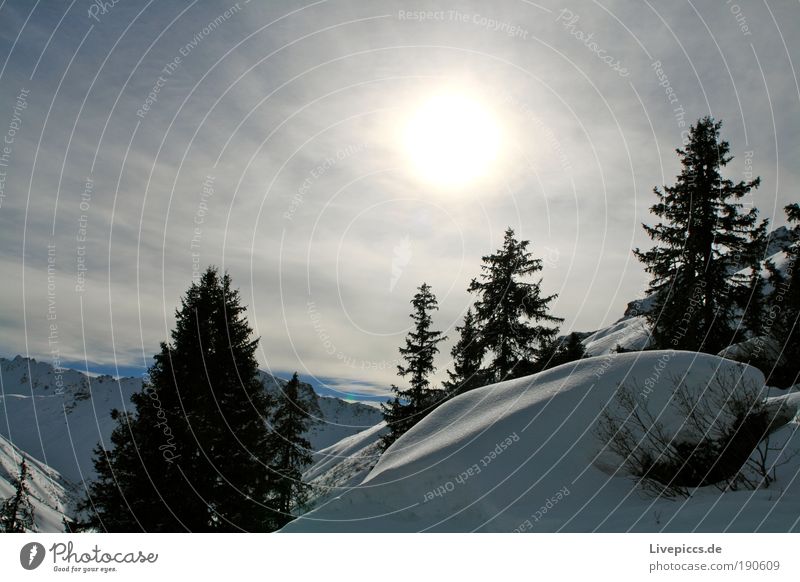 Bergzauber Winter Schnee Winterurlaub Natur Landschaft Sonne Sonnenlicht Baum Alpen Berge u. Gebirge Ferien & Urlaub & Reisen kalt blau gelb grau schwarz weiß