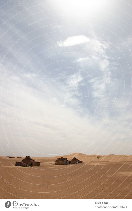 Beduinenzelte am Dünenrand Ferne Safari Sand Himmel Wolken Sommer Wärme Dürre Wüste Zelt Armut einfach trist trocken Schutz geheimnisvoll Farbfoto Außenaufnahme