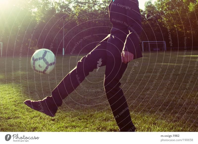 Die WM 2010 kommt! Fußball Tor Sportstätten Fußballplatz maskulin Junger Mann Jugendliche Wiese Anzug Turnschuh sportlich Coolness trendy grün Lebensfreude
