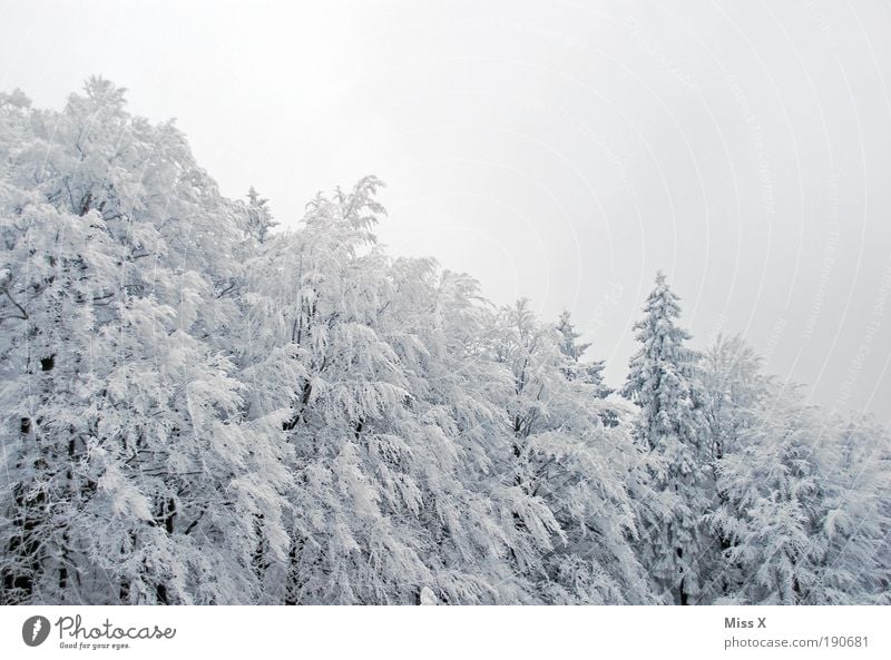 Waldstein Ferien & Urlaub & Reisen Ausflug Winter Schnee Winterurlaub Berge u. Gebirge Natur Klimawandel Schönes Wetter schlechtes Wetter Eis Frost Baum groß