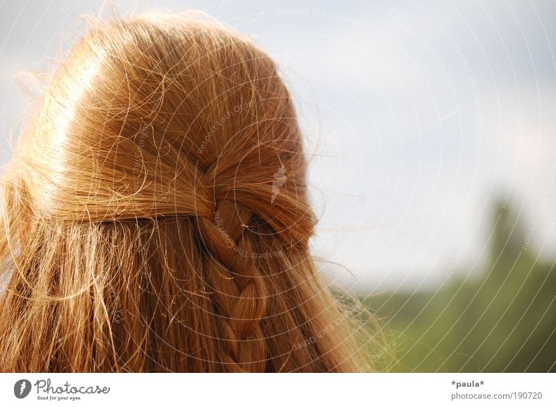 Frühling im Kopf feminin Junge Frau Jugendliche Leben Haare & Frisuren 1 Mensch 18-30 Jahre Erwachsene Sommer Schönes Wetter rothaarig langhaarig Zopf