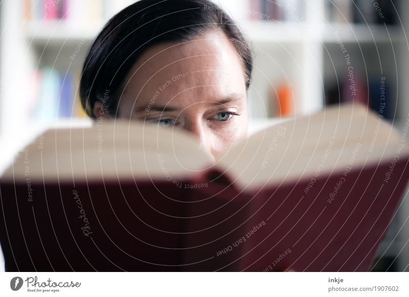 Frau liest in einem Buch Lifestyle Freizeit & Hobby lesen Bücherregal Bildung Erwachsenenbildung lernen Bibliothek Leben Gesicht 1 Mensch 30-45 Jahre