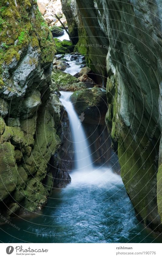 Wasserfall Umwelt Natur Landschaft Urelemente Felsen Schlucht Bach Fluss Stimmung Glück Kraft Romantik Areuse Champ-du-Moulin eng Gorges de l'Areuse Jura