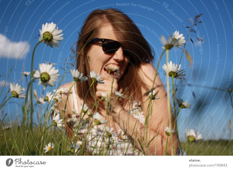 magritte. Leben Sommer feminin Junge Frau Jugendliche Haut Kopf Haare & Frisuren Gesicht Mund Lippen Zähne 18-30 Jahre Erwachsene Umwelt Natur Himmel