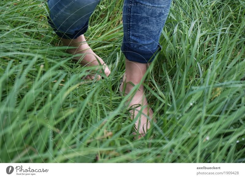 barfuß im Gras Gesundheit Wohlgefühl Freizeit & Hobby Mensch feminin Mädchen Junge Frau Jugendliche Erwachsene Fuß 1 18-30 Jahre Natur Wiese Jeanshose gehen