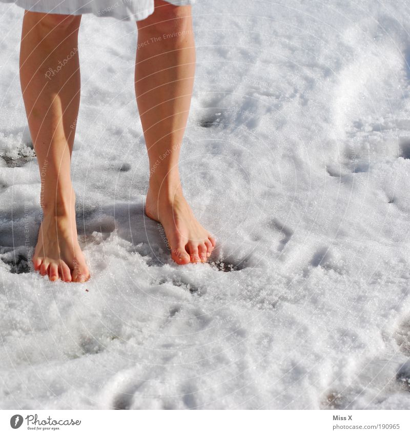 Kneippkur Mensch Beine Fuß 1 18-30 Jahre Jugendliche Erwachsene Winter Klima Wetter Schönes Wetter schlechtes Wetter Eis Frost Schnee Coolness kalt verrückt