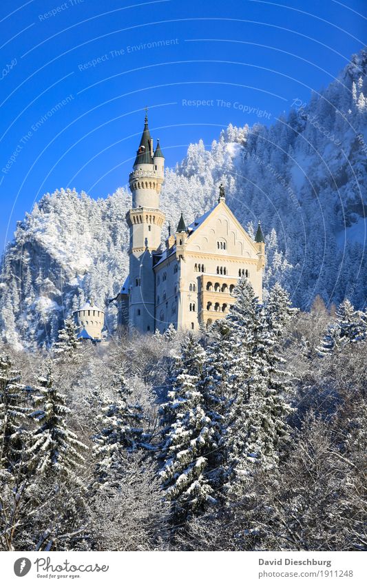Schloss Neuschwanstein Ferien & Urlaub & Reisen Tourismus Ausflug Sightseeing Schnee Winterurlaub Berge u. Gebirge Natur Landschaft Wolkenloser Himmel