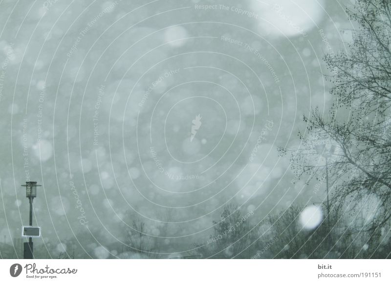 HINTERHAUS-SIBIRIEN Umwelt Winter Klima Klimawandel Wetter Nebel Eis Frost Schnee Schneefall frieren blau grau Schneeflocke Schneelandschaft dunkel Düsterwald