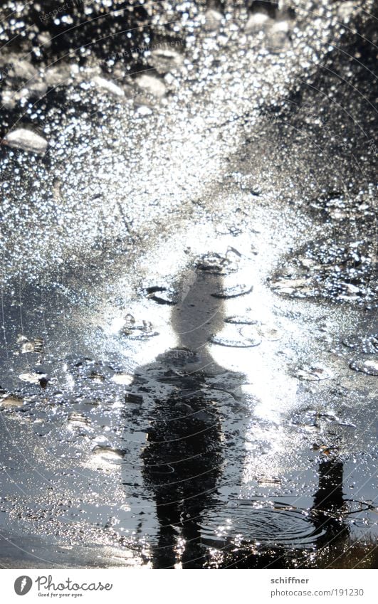 Eisige Erscheinung 1 Mensch Sonne Frost Teich stehen gruselig Sehnsucht Angst bizarr skurril Experiment Silhouette Reflexion & Spiegelung Lichterscheinung